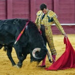 El diestro Daniel Luque 