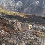 Sucesos.- Cantabria suma 23 incendios en agosto, ninguno este s&aacute;bado, y bomberos de la regi&oacute;n siguen ayudando a Le&oacute;n