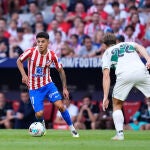 Atletico de Madrid v Elche CF - LaLiga EA Sports