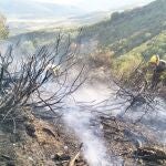 Efectivos en el incendio forestal de Barniedo de la Reina combaten su propagación