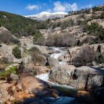 MADRID.-La Comunidad invierte más de 1,3 millones para mejorar los pinares de ribera de la Sierra de Guadarrama