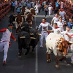 Segunda jornada de encierros de San Sebastián de los Reyes