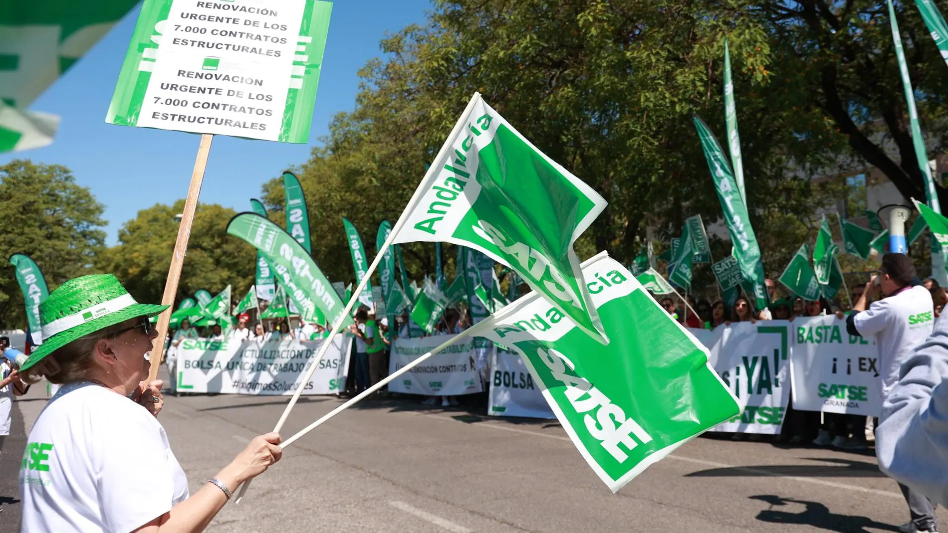 MADRID.-Satse insta a Sanidad y a CCAA a cumplir con el Plan de Acción de Salud Mental 2025-2027