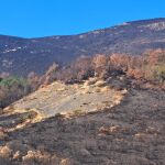 Efectos del incendio en el Parque de Picos de Europa