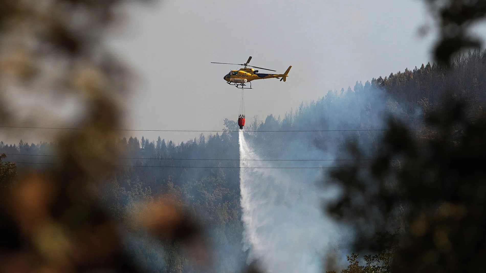 Medios aéreos trabajan en el incendio de León