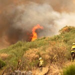 Incendio forestal en la provincia de León