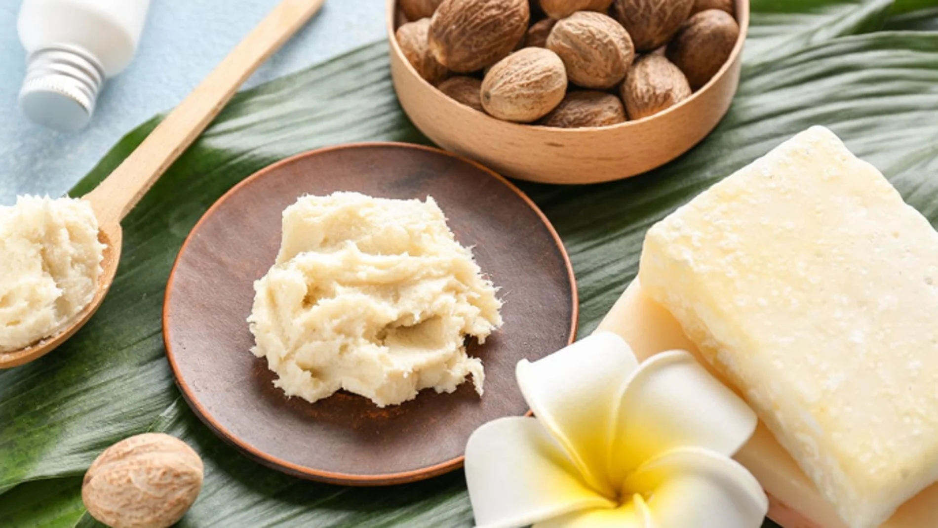 Nigeria prohíbe la exportación de nueces de karité: la industria cosmética puede salvar su economía