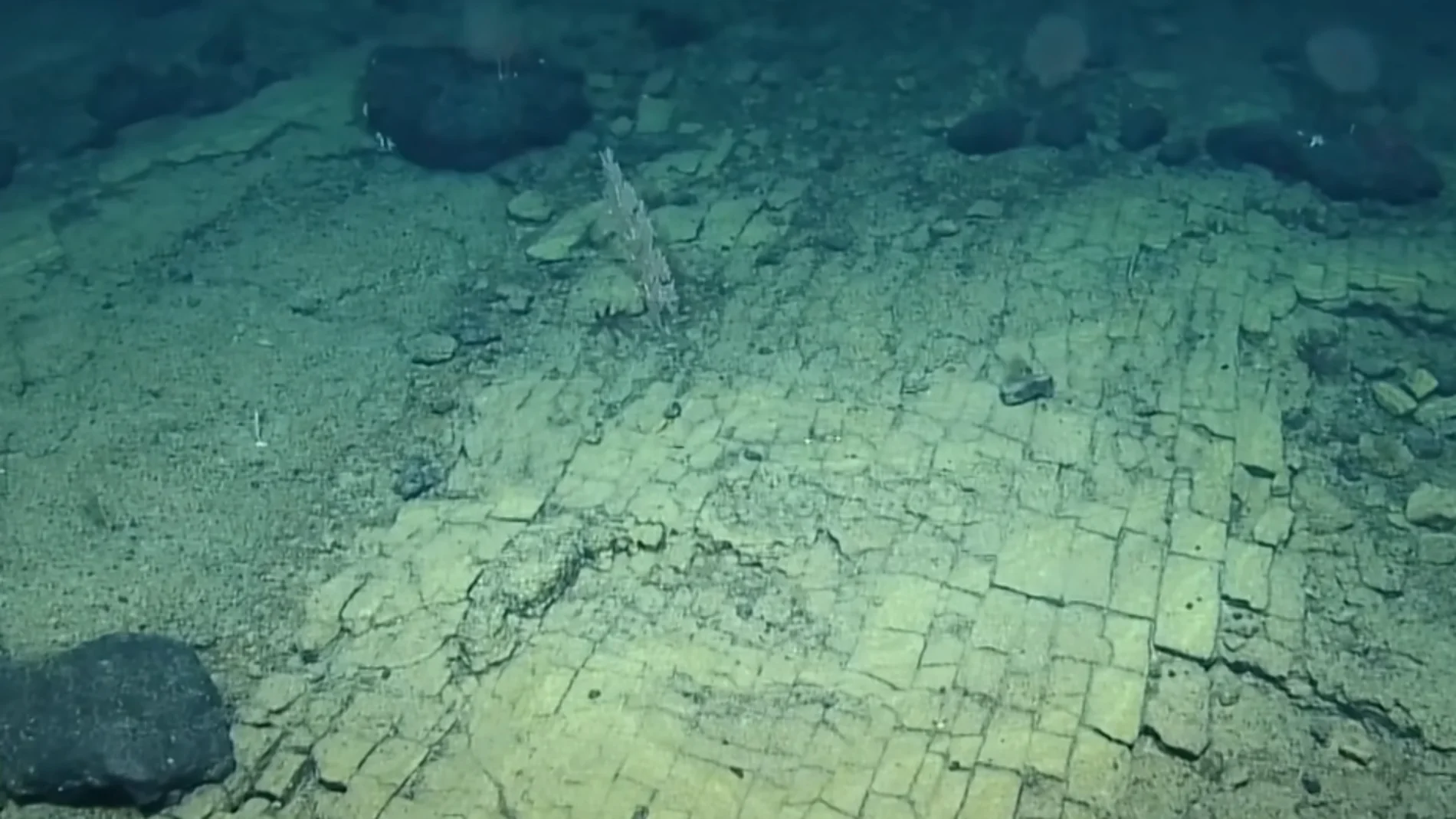 Oceanografía