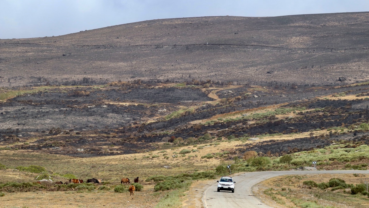 La Junta impulsa nuevas actuaciones en las zonas más dañadas por el fuego de este verano