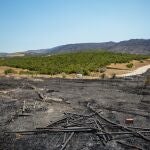 Aspecto que presenta el paraje de Tarifa (Cádiz) afectado por el incendio