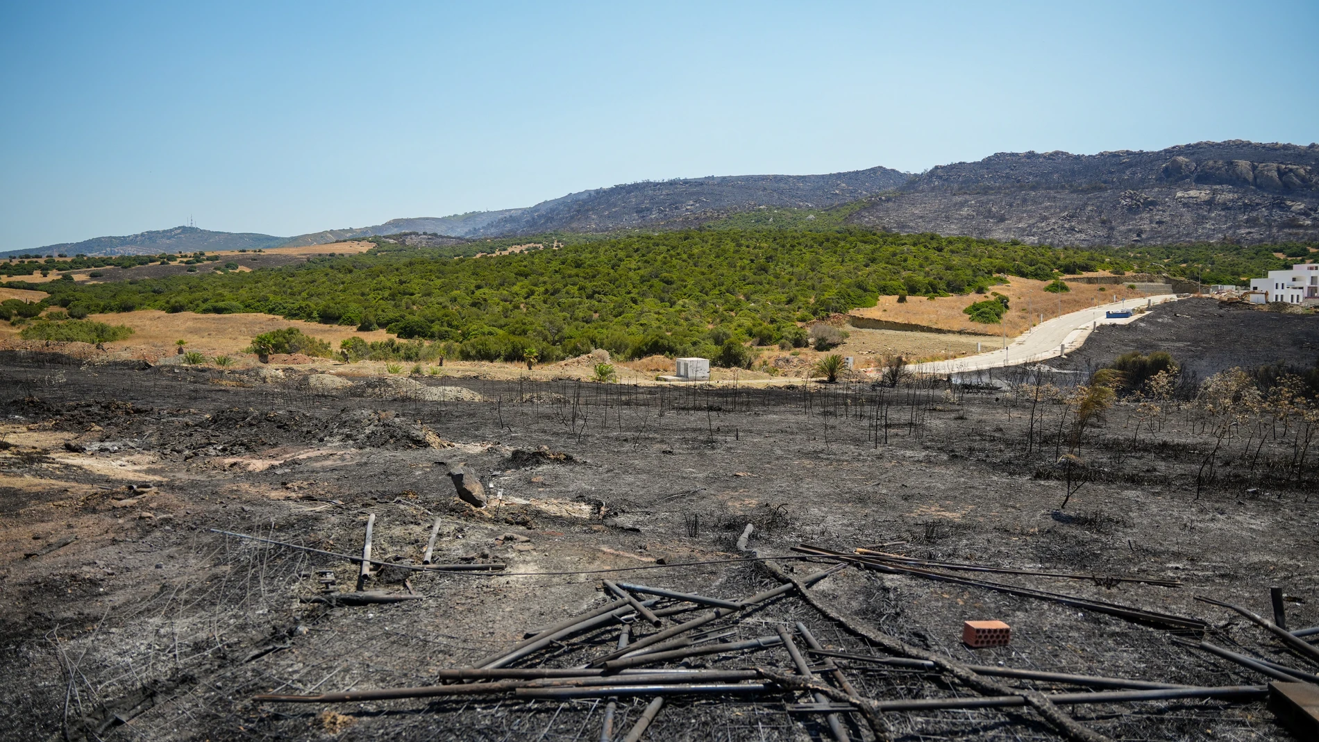 Aspecto que presenta el paraje de Tarifa (Cádiz) afectado por el incendio