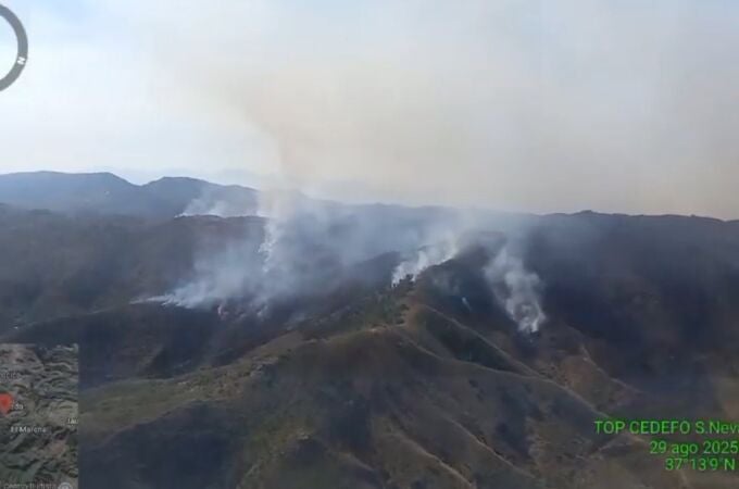 Suc.- Despliegue nocturno de 160 efectivos y 9 autobombas por el incendio en Lubrín (Almería) ante "el fuerte viento"