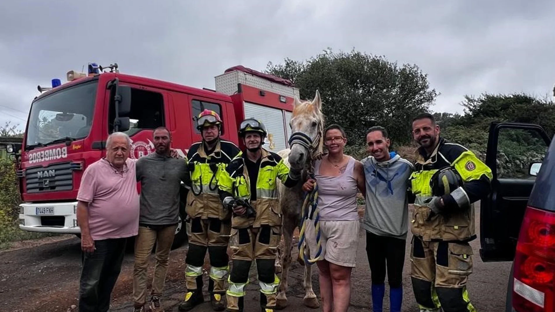 Bomberos de Tenerife rescatan un caballo que había caído por un barranco de 15 metros de profundidad