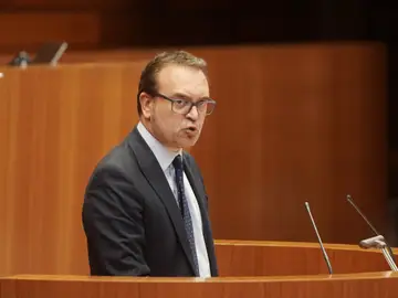 El portavoz del Grupo Popular, Ricardo Gavilanes, durante el Pleno extraordinario de las Cortes El portavoz del Grupo Popular, Ricardo Gavilanes, durante el Pleno extraordinario de las Cortes