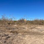 MURCIA.-La Región de Murcia lidera el abandono de tierras agrícolas, "comprometiendo la vertebración del mundo rural"