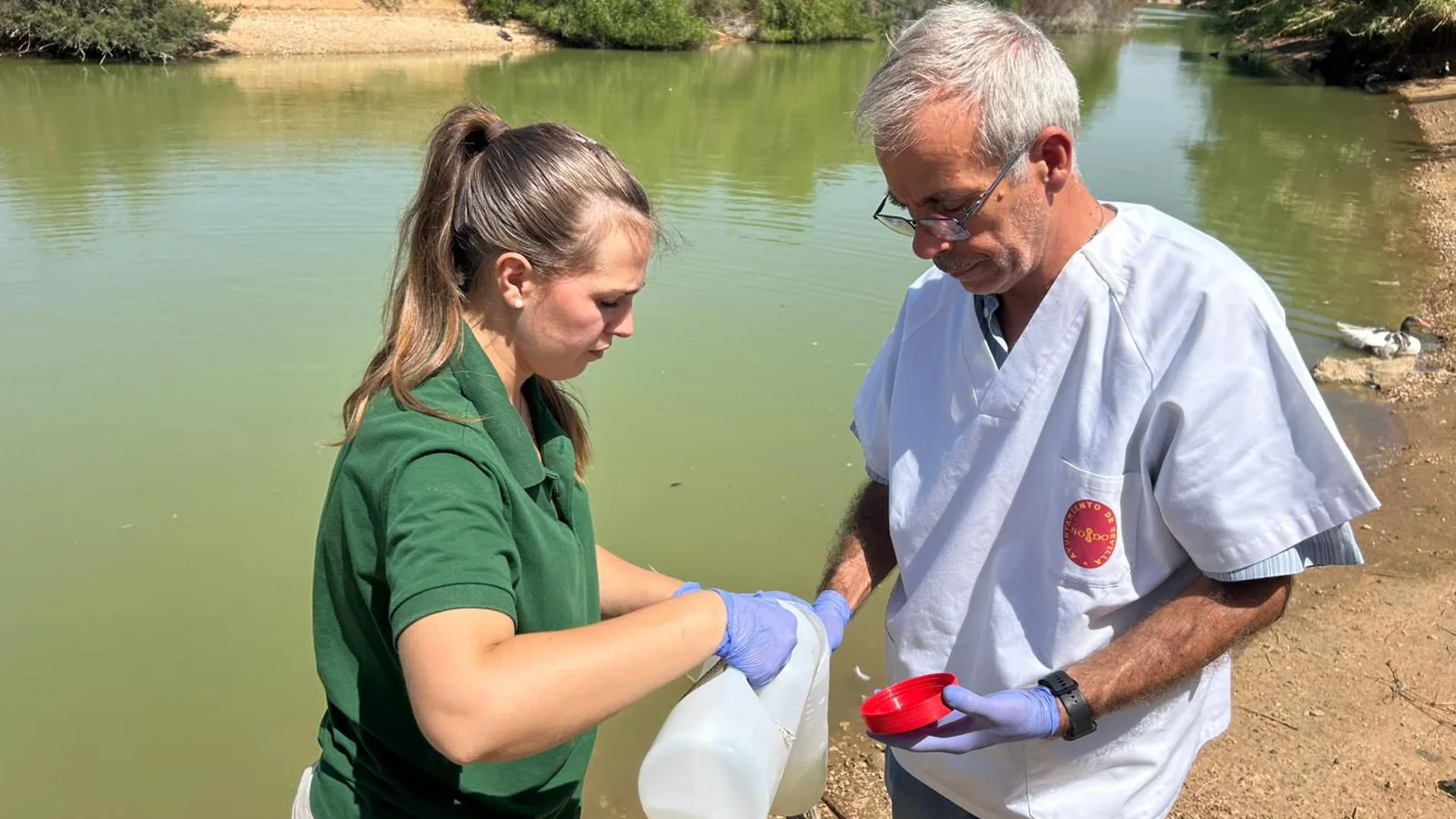 Técnicos recogen muestras del agua para determinar si es una de las causas de las muertes de las aves