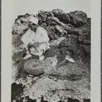 La fotografía aparecida en el archivo de Santos Torroella