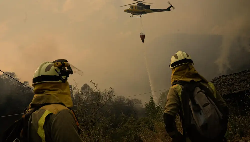 Las CCAA despliegan sus primeras ayudas tras los incendios centradas en viviendas, viñedos, pasto para ganado y pymes