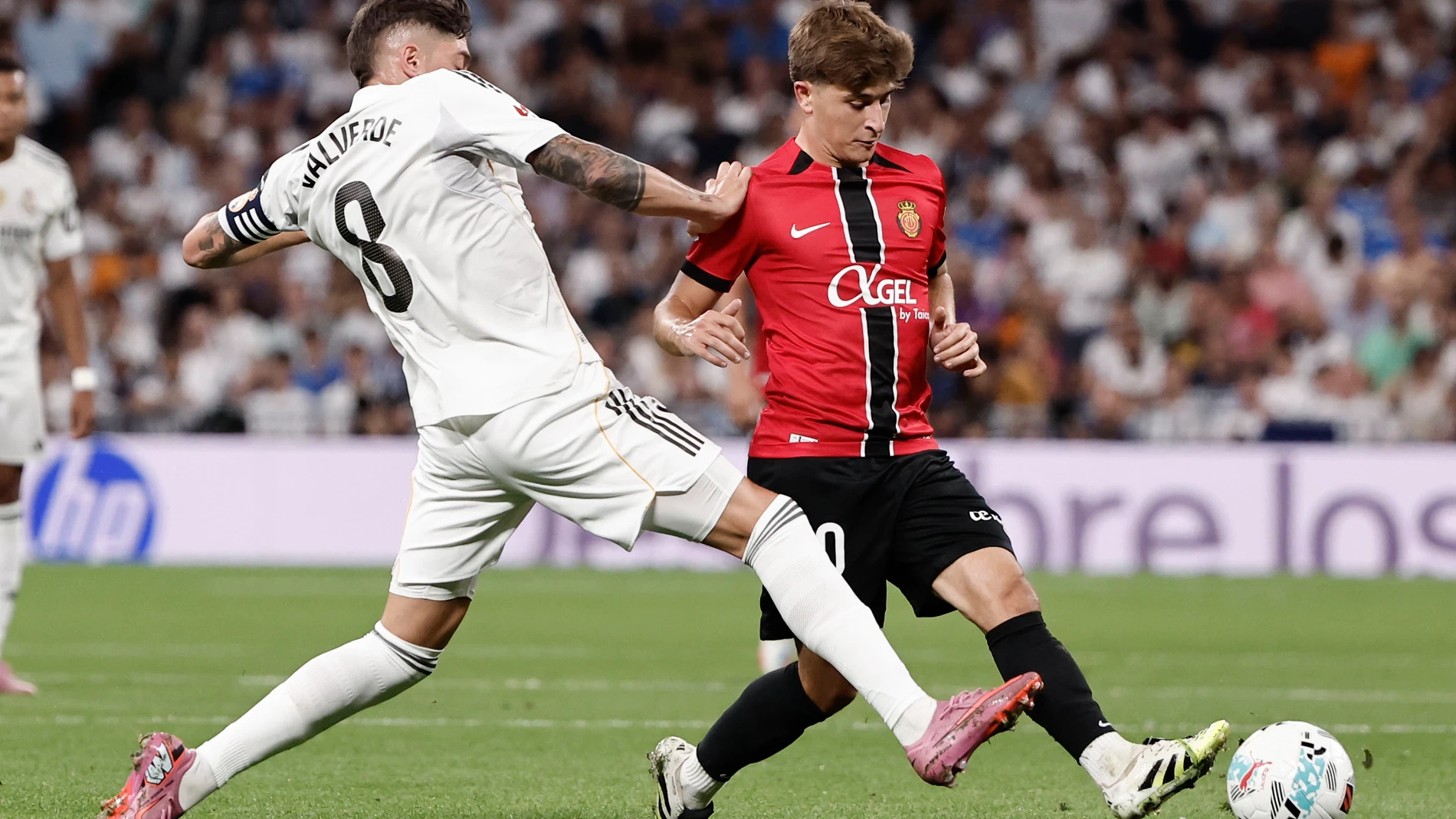 MADRID , 30/08/2025.- El centrocampista uruguayo del Real Madrid Fede Valverde (i) pelea un balón con el centrocampista del Mallorca Pablo Torre durante el partido de LaLiga entre el Real Madrid y el Mallorca, este sábado en el estadio Santiago Bernabéu. EFE/Sergio Pérez