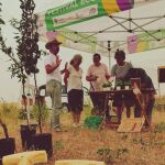 Programa ‘Arboleda 25’ de la Diputación de Salamanca