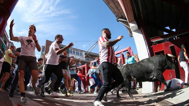 Séptimo encierro de San Sebastián de los Reyes
