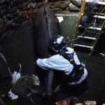 Sucesos.- Los bomberos rescatan a un burro atrapado en un pozo en una finca de Robledo de Chavela