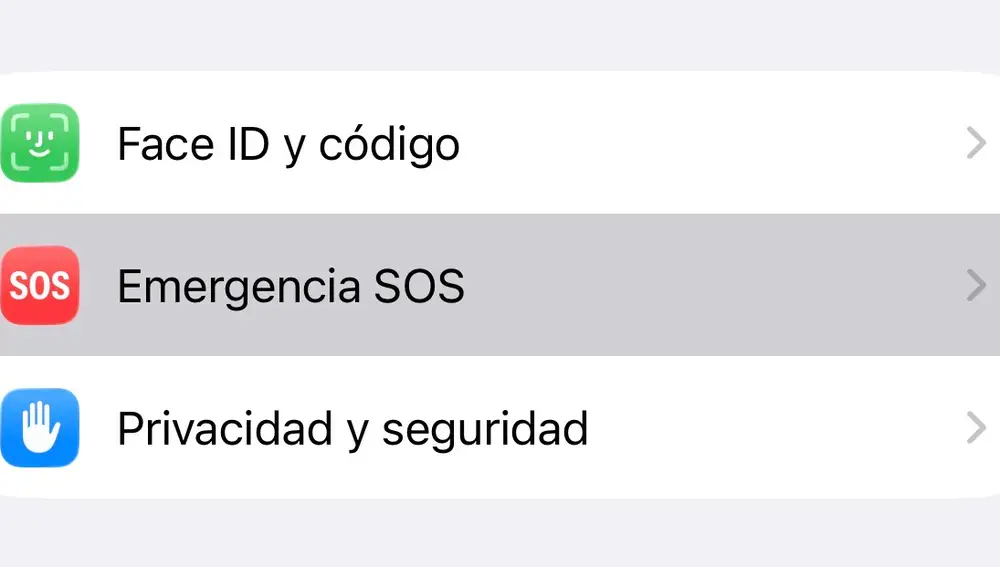 Prestaciones de seguridad de iOS