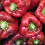 Almería ya aporta la mitad de las exportaciones agro andaluzas