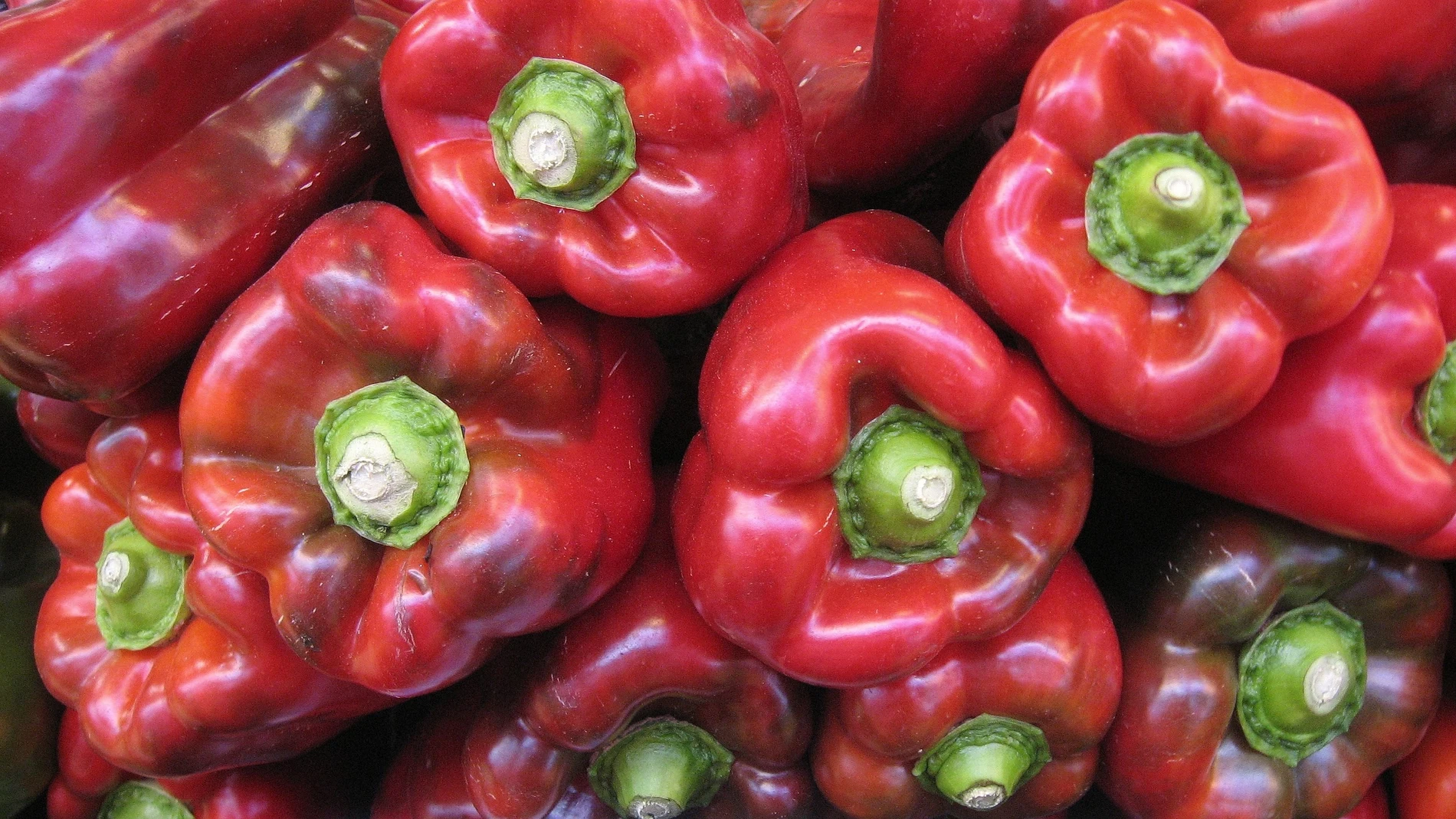 Almería ya aporta la mitad de las exportaciones agro andaluzas