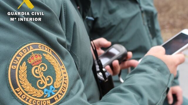 Sucesos.- Fallece un hombre tras ser corneado por una vaca en Curtia (Castrillón)