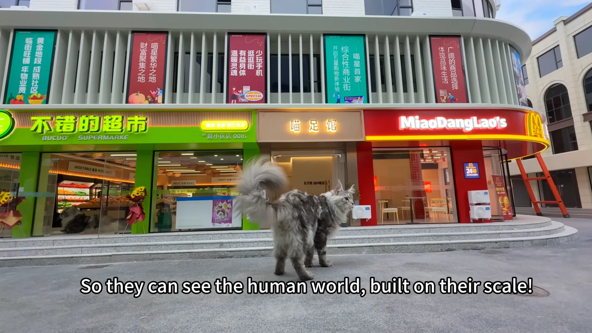 Un youtuber chino construye una ciudad para sus gatos y tiene de todo: supermercado, spa, teatro y hasta metro