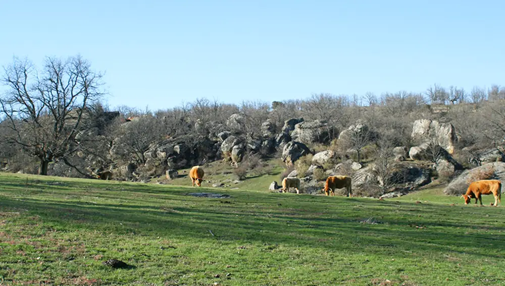 Monte Valonsadero a las afueras de Soria