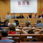 Les Corts convalidan tres decretos del Consell sobre l'Albufera, centros sanitarios y los 1.700 millones para el déficit