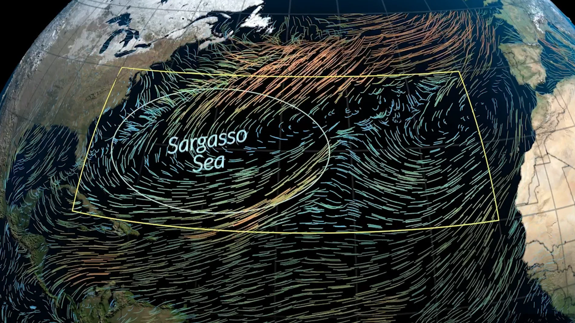 Mar de los sargasos