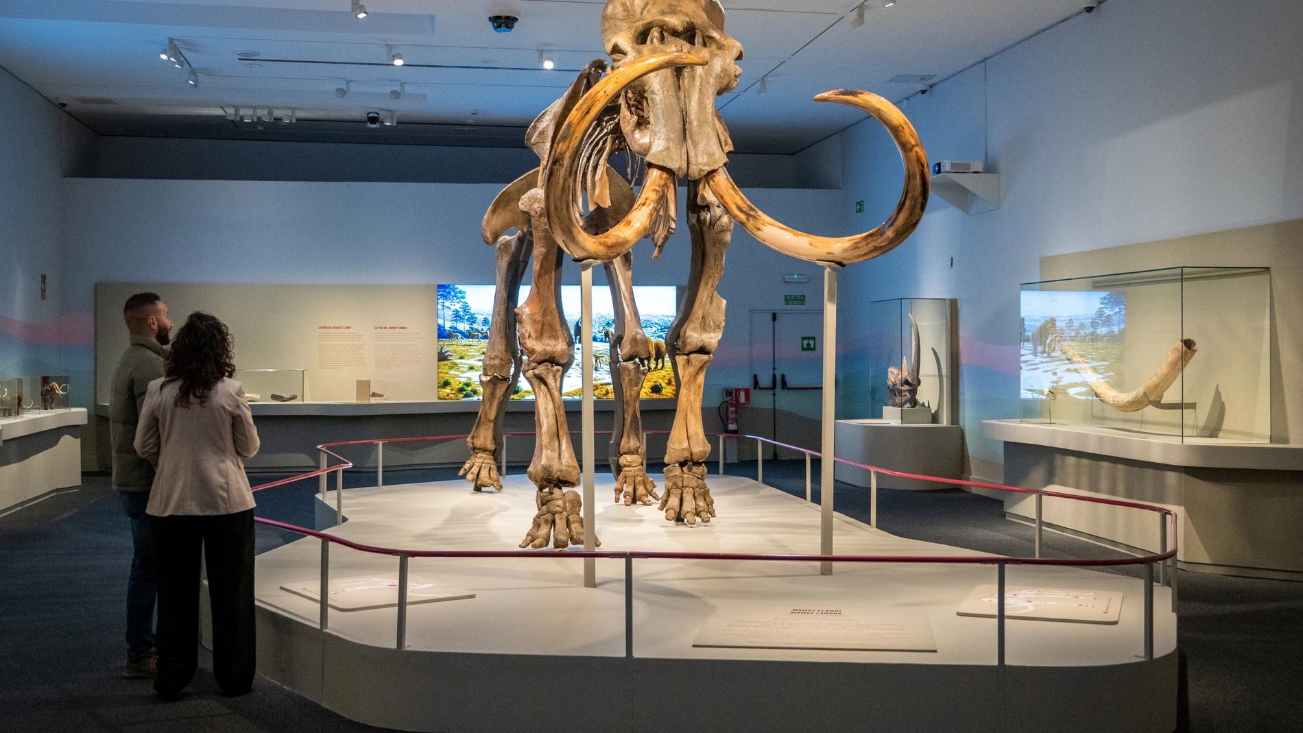 El imponente mamut de CosmoCaixa