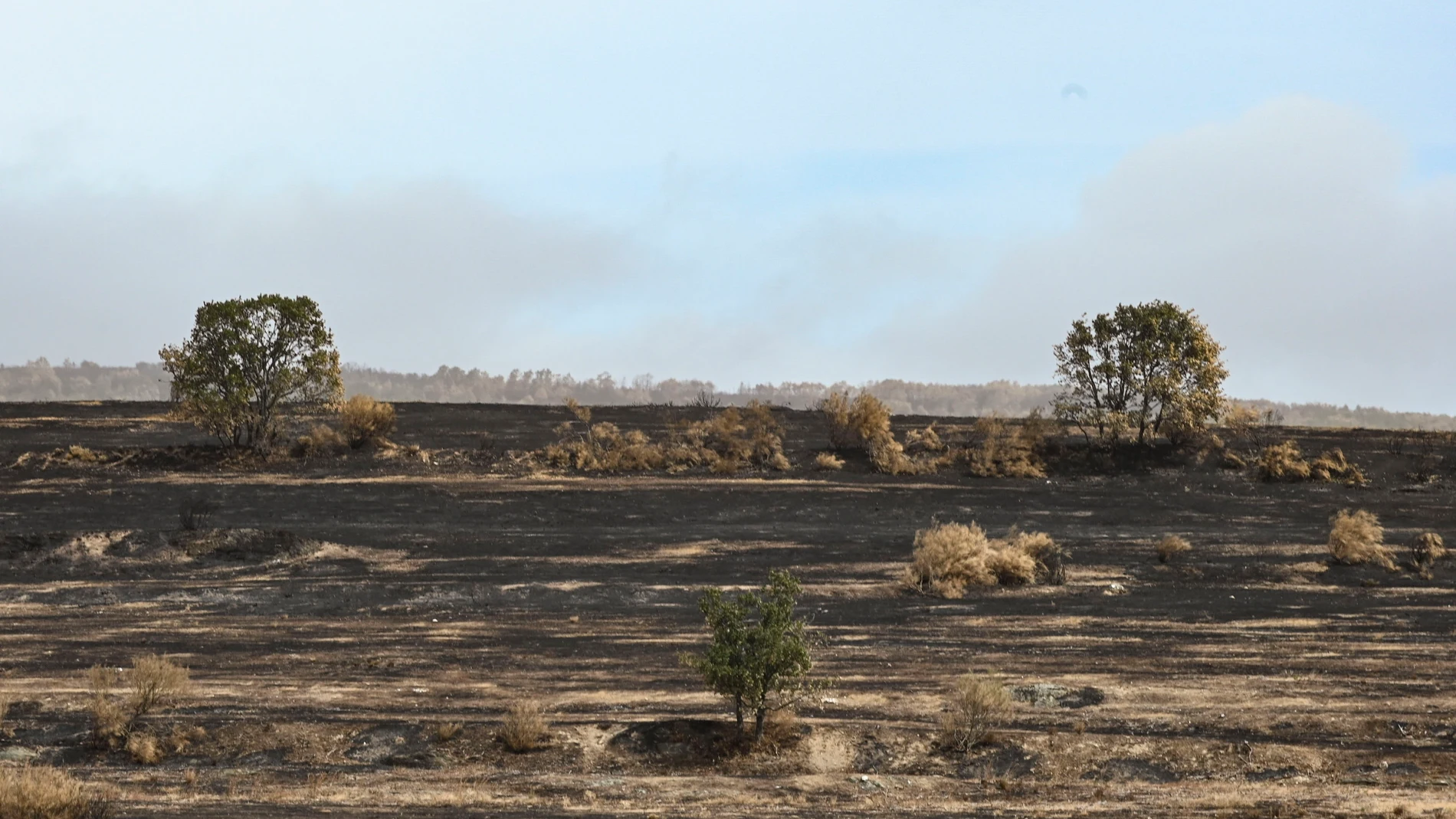 CHANA DE SOMOZA (LEÓN), 02/09/2025.- Paisaje del incendio en Chana de Somoza (León).. La Junta de Castilla y León ha suministrado ya más de 3,8 millones de kilos de paja, forraje y pienso a 284 ganaderías afectadas en la comunidad autónoma por los incendios forestales, de las cuales 146 se encuentran en la provincia de León. EFE/ Casares