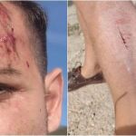 Insólito: dos pastores que buscaban a las cinco vacas perdidas agreden a dos periodistas de À Punt en Alcalà de Xivert (Castellón)