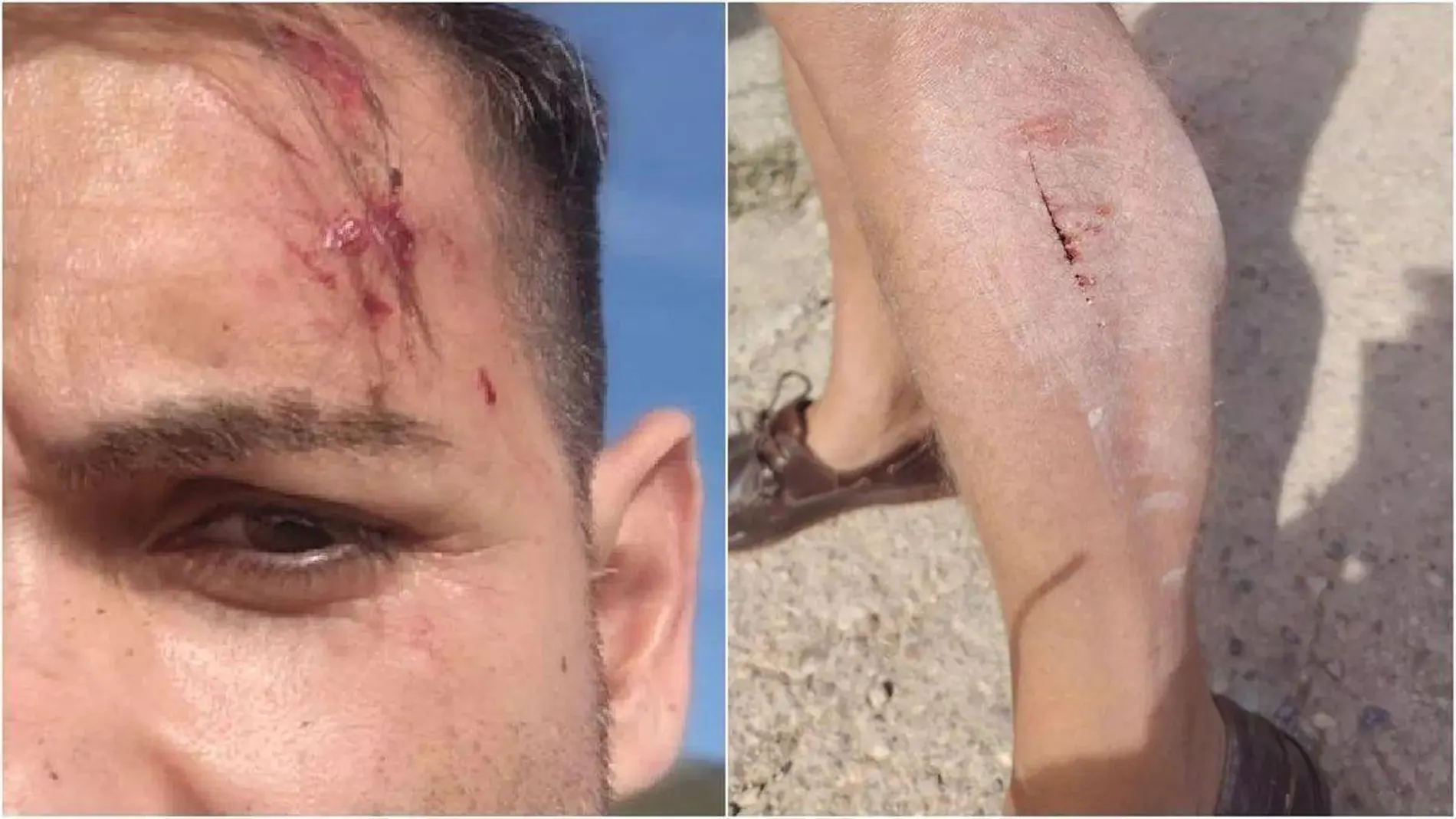 Insólito: dos pastores que buscaban a las cinco vacas perdidas agreden a dos periodistas de À Punt en Alcalà de Xivert (Castellón)