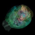 Visualización de 75.000 neuronas (puntos de colores) activas en todo el cerebro de un ratón adulto durante la toma de decisiones. Los puntos más grandes indican neuronas más activas. Este mapa, más modesto que el de 650.000 neuronas, pertenece a uno de los dos estudios publicados simultáneamente por IBL en Nature.
