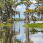 La increíble historia española que sobrevive en los pantanos de Estados Unidos