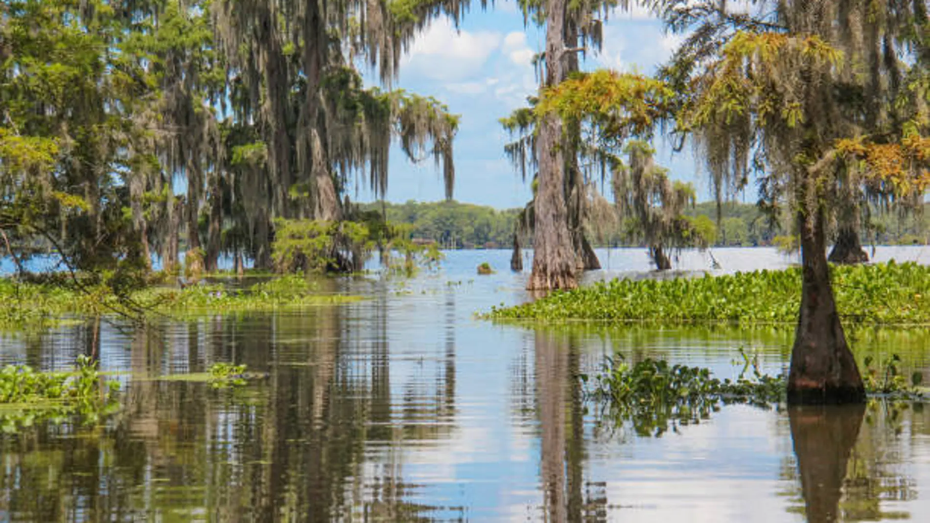 La increíble historia española que sobrevive en los pantanos de Estados Unidos