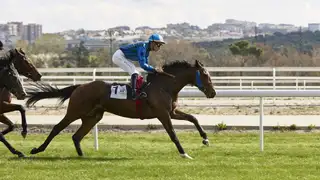 Carrera de caballos Carrera de caballos