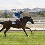 Las carreras de caballos volverán al Hipódromo de la Zarzuela este miércoles con el inicio de la Temporada de Otoño