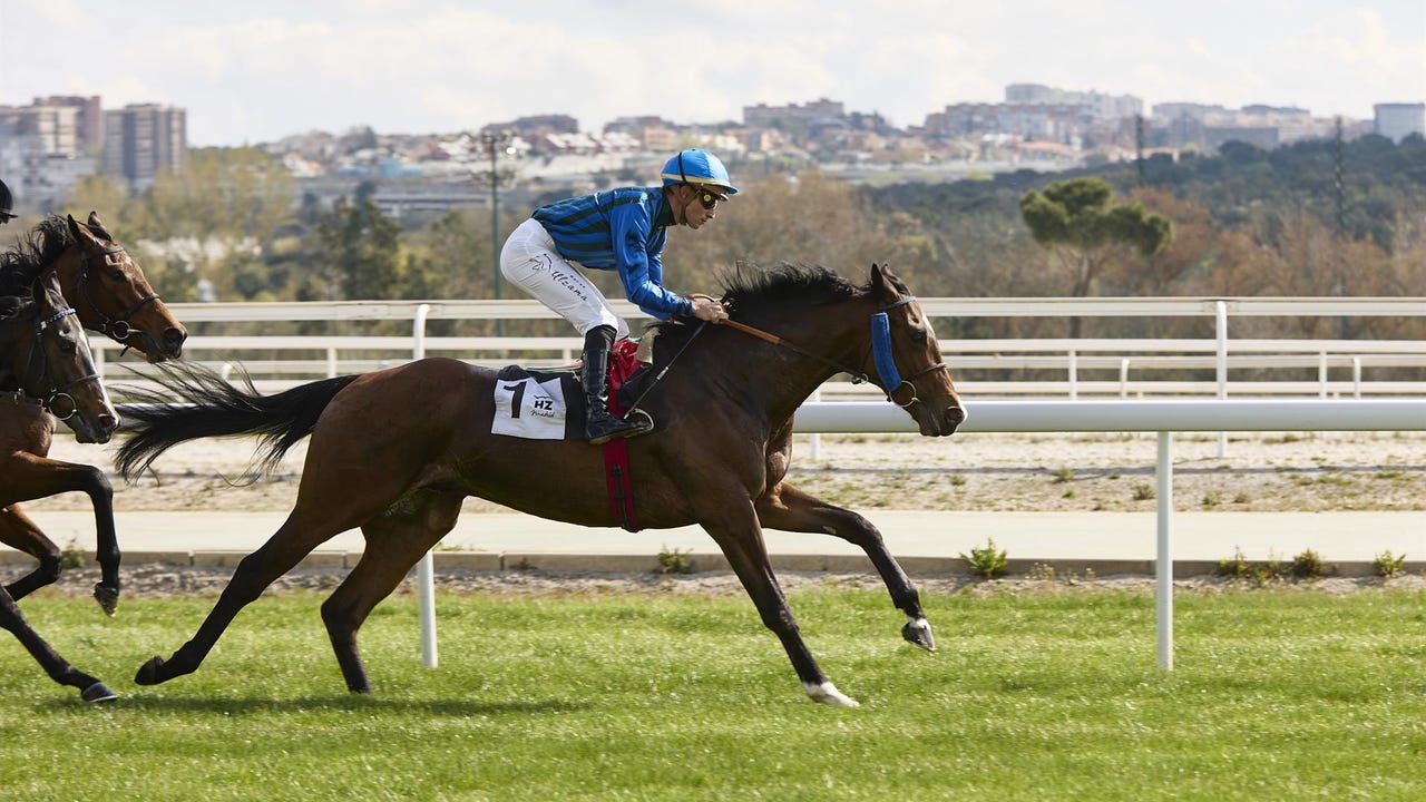 Vuelven las carreras al Hipódromo de la Zarzuela, con nuevas ofertas gastro y más actividades familiares