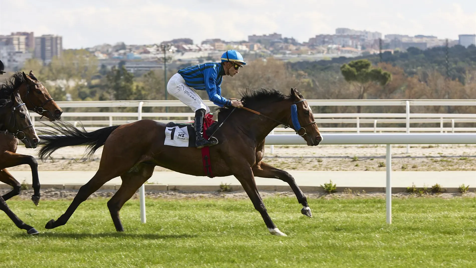 Las carreras de caballos volverán al Hipódromo de la Zarzuela este miércoles con el inicio de la Temporada de Otoño