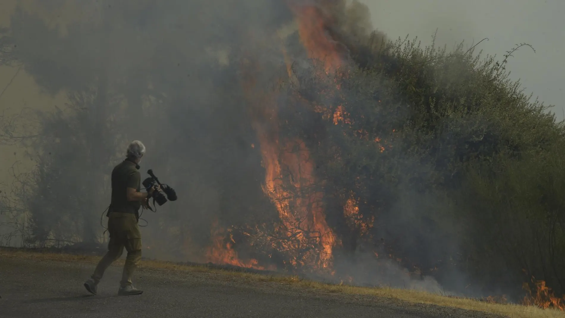 Imagen de archivo de los incendios.