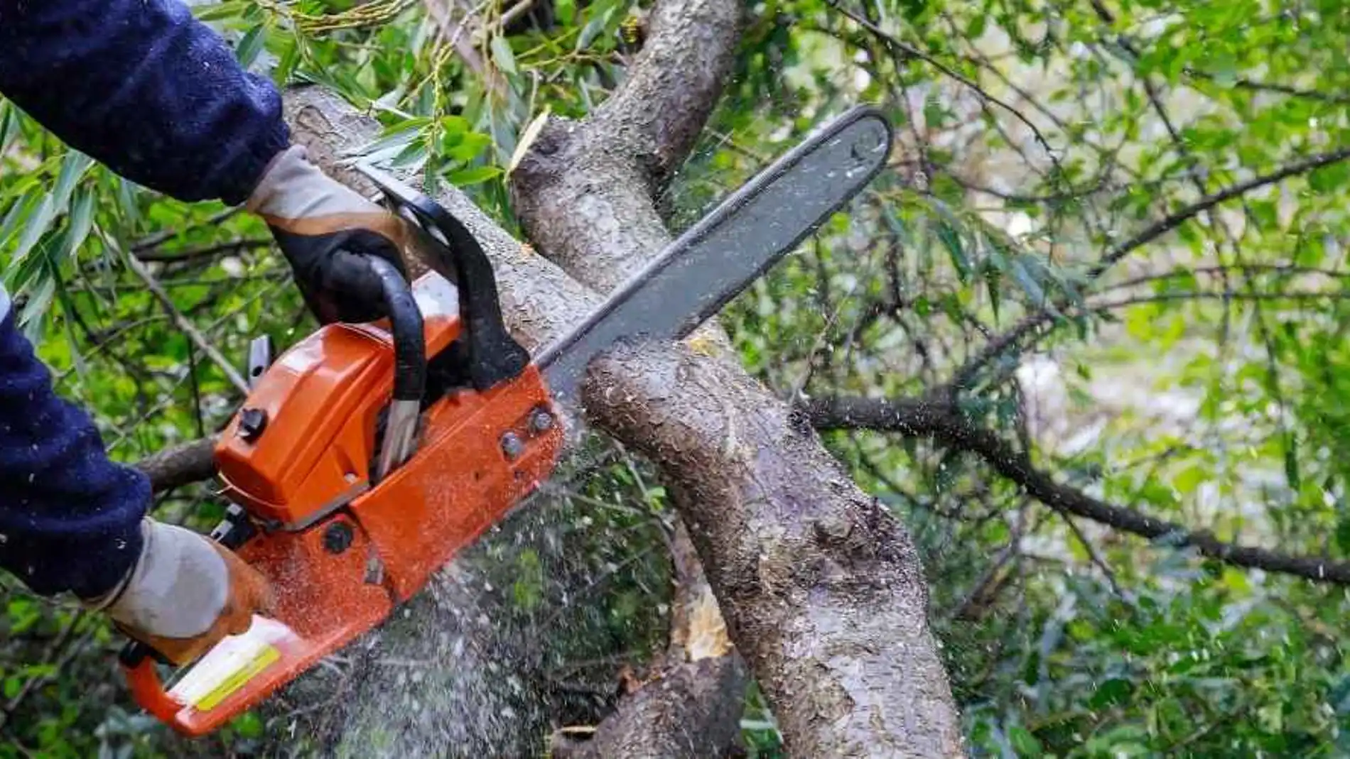 Mini Motosierra