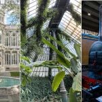 Así son los 3 sitios gratis en Madrid que te transportan al mundo de Harry Potter