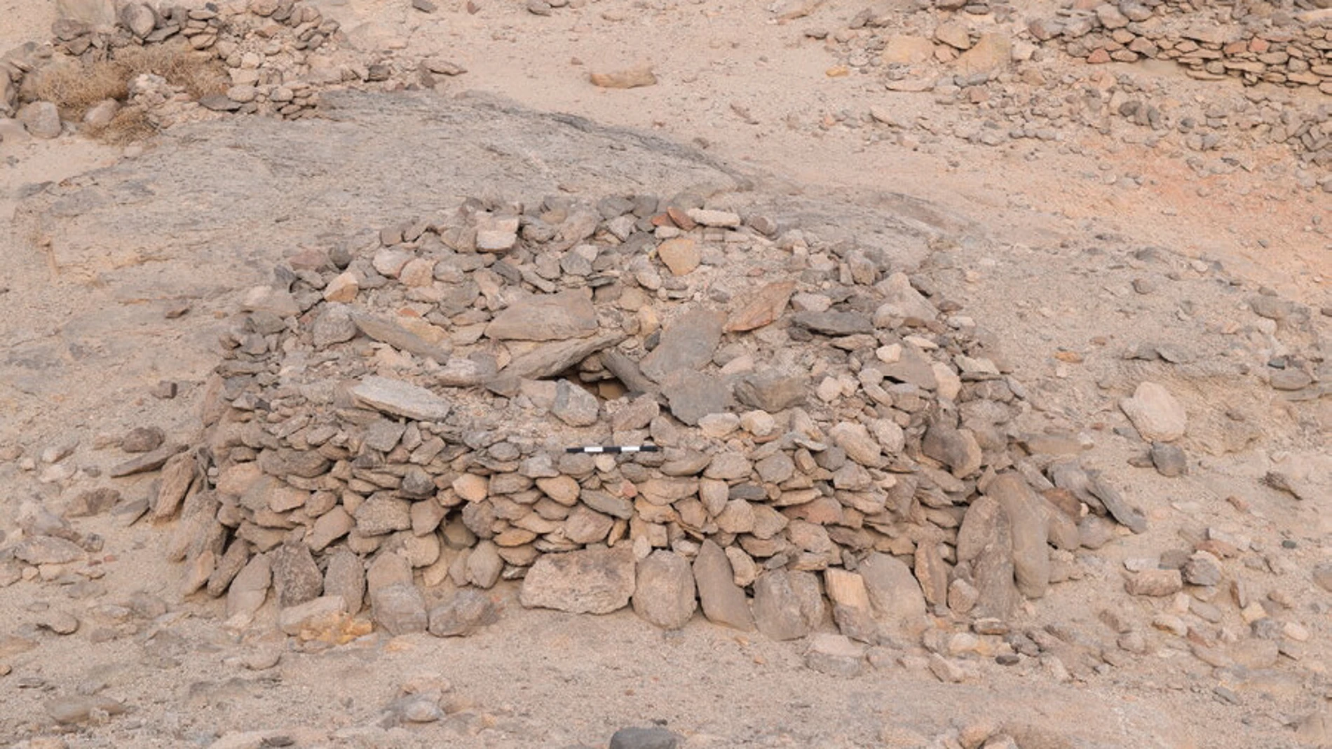 Imagen de una de las tumbas localizadas en la excavación