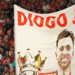 Soccer Diogo Jota